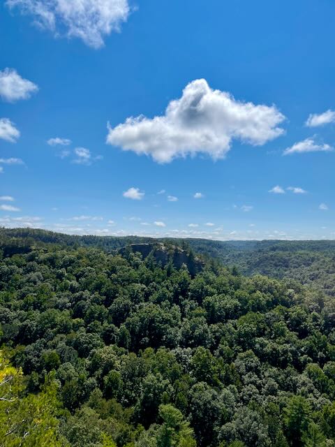 View of Half moon rock from Chimney top Trail head