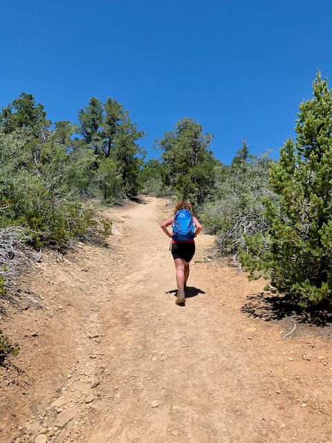 Lori, hiking to observation point via the alternate route  - Observation Point via Beaver Road