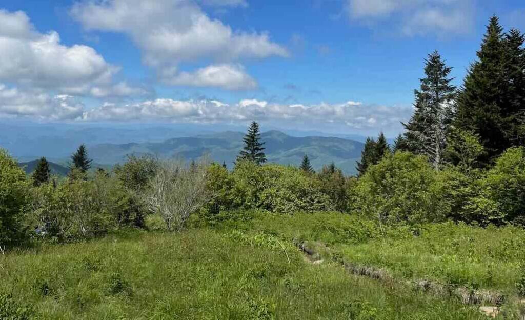 A picture of Andrews Bald Overlook with the Great Smoky Mountains and blue skies